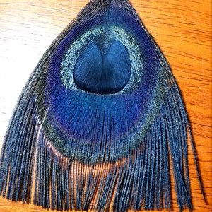 Stunning Peacock feather earings